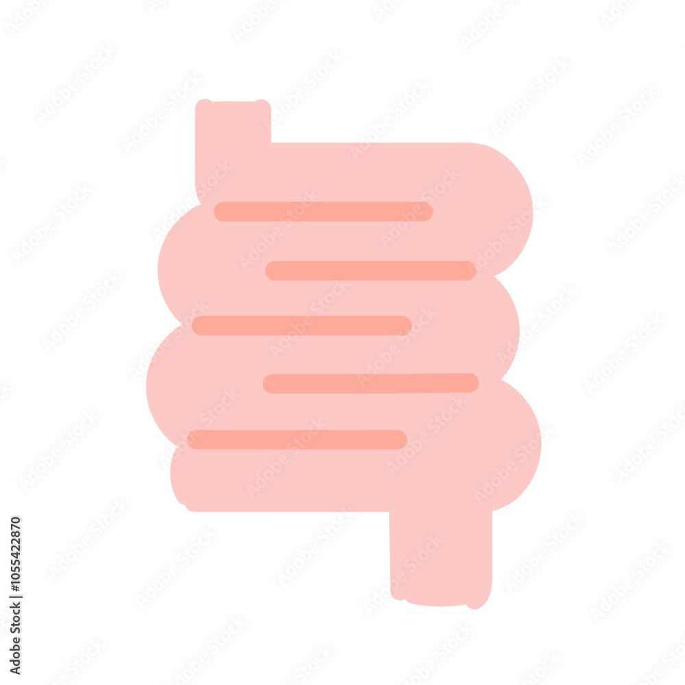 小腸 イラスト 小腸 イラスト