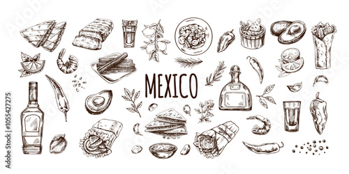 Hand-drawn set of realistic mexican dishes and products. Vintage sketch drawings of Latin American cuisine. Vector ink illustration. Mexican culture. Latin America.