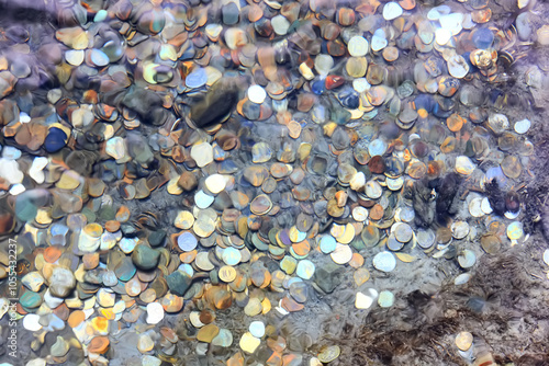 background coins at the bottom of the underwater money in the fountain photo