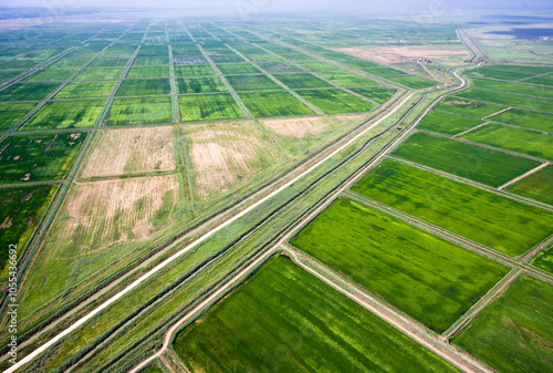 Aerial view of vast green agricultural fields with winding roads in a tranquil countryside landscape, Krasnodar Territory, Russia. photo