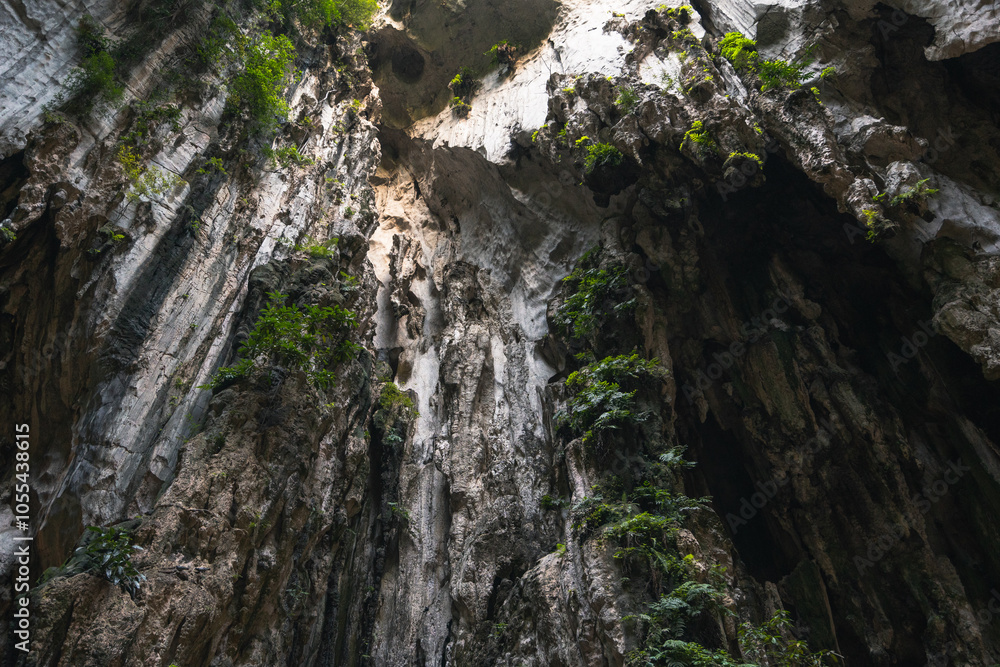 Interior of a Cave with Trees and a Rocky Cliff Interior of a Cave with Trees and a Rocky Cliff