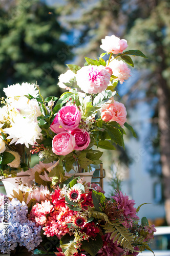 Flowers, plant beautiful, home detail