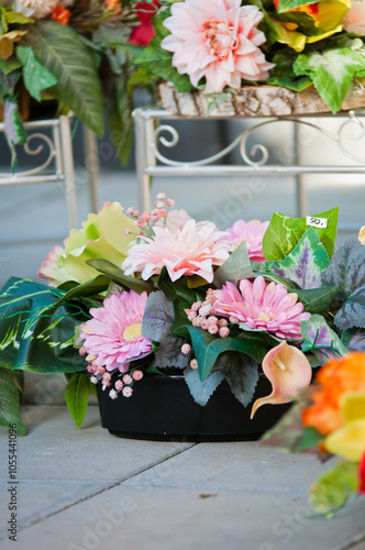 Flowers, plant beautiful, home detail