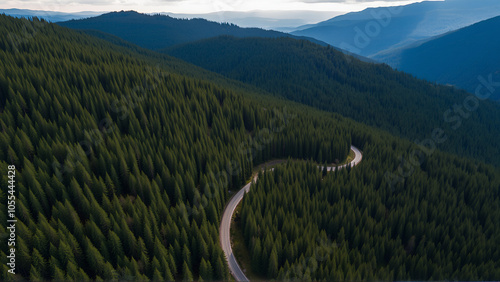 Beautiful aerial view of dense forest mountain landscape in summer time with curvy road cutting through forest. Aerial view by drone . Romania photo