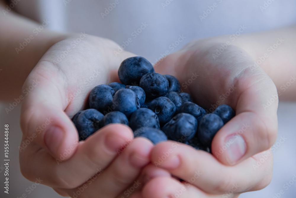 Fresh raw organic blueberries background close up. Macro texture of blueberry berries. Food background, backdrop, wallpaper, summer harvest. Fresh raw organic blueberries background close up. Macro texture of blueberry berries. Food background, backdrop, wallpaper, summer harvest.