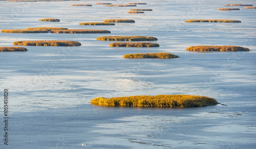 Aerial view of serene wetlands with lush green islands and tranquil water, Astrakhan Nature Reserve, Russia.