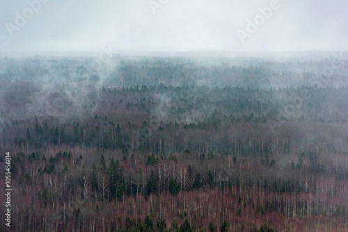 Aerial view of snowy forest with mist and trees, Karelia Republic, Russia. photo