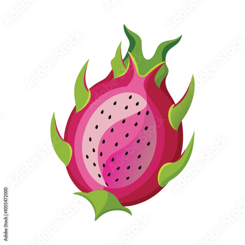 Piece of dragonfruit vector illustration, Colorful dragonfruit