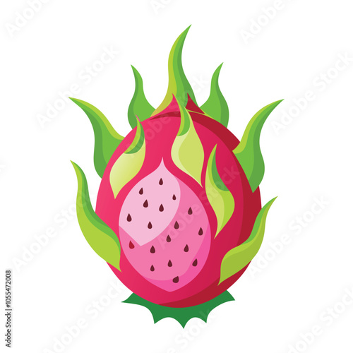 Piece of dragonfruit vector illustration, Colorful dragonfruit