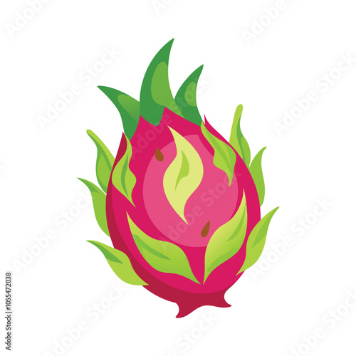 Piece of dragonfruit vector illustration, Colorful dragonfruit