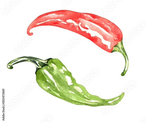 Green and red chili peppers watercolor illustration. Illustration for greeting cards, printing and other design projects.