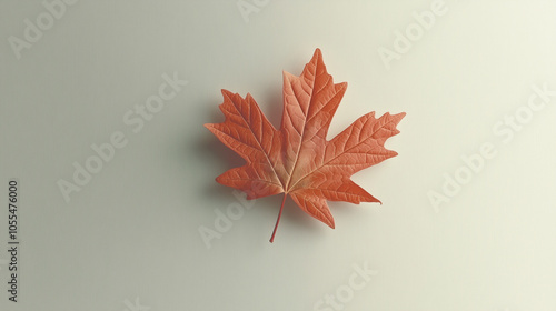 A high-resolution, minimalist image showcasing a single autumn maple leaf with deep orange hues, set against a textured, light background, emphasizing the beauty and simplicity of the season. photo