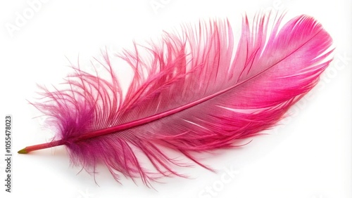 pink feather isolated on white background cutout Forced Perspective