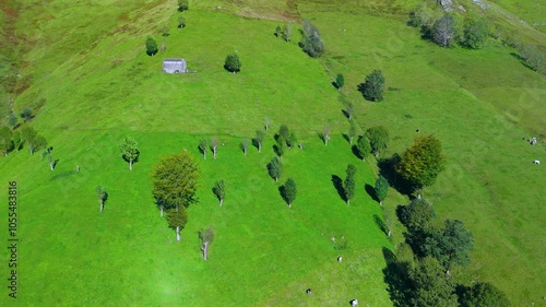 Summer landscape of hay meadows and cabins in the Miera River Valley. Aerial view from a drone. Pasiegos Valleys. Cantabria. Spain. Europe photo