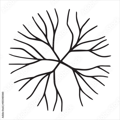 top view tree, hand drawing. architectural ink drawing, vector.	
