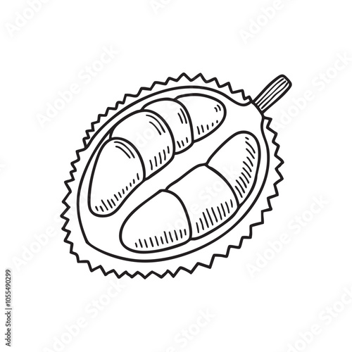 Durian sliced open showing the fruit 