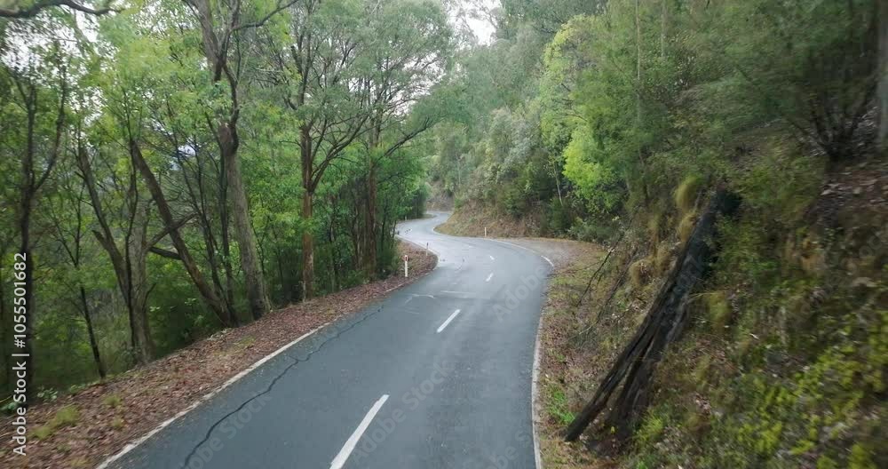 Aerial view of winding road through lush forest and trees, Alpine National Park, Victoria, Australia. Aerial view of winding road through lush forest and trees, Alpine National Park, Victoria, Australia.