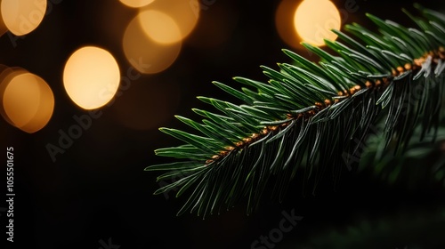  A tight shot of a pine tree branch against a background filled with lights photo