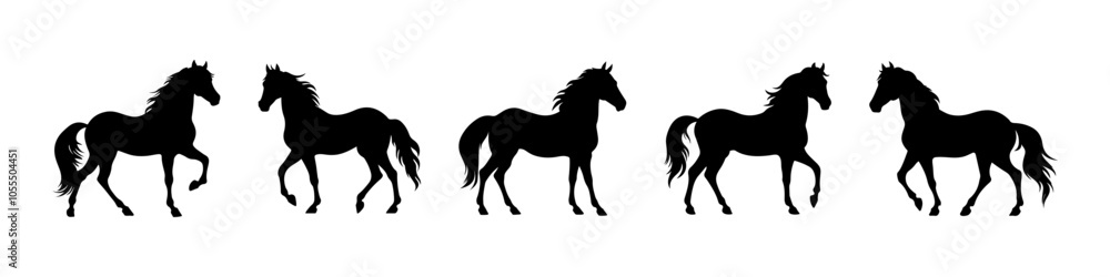 Vector big set of horses silhouettes isolated on wihite background Vector big set of horses silhouettes isolated on wihite background