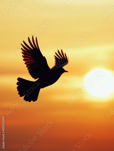 Bird in flight at sunset