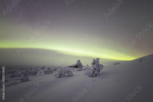 Northern lights in Pallas Yllastunturi National Park, Lapland, Finland photo