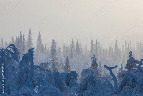 Winter landscape in Pallas Yllastunturi National Park, Lapland, Finland photo