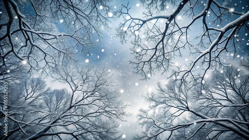 Tree branches stretched towards grey sky, heavy with snowflakes, white snowflakes, frosty landscape