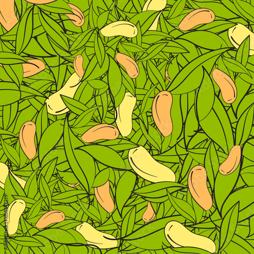 hand draw pattern with manggo and leaves. Vector illustration photo