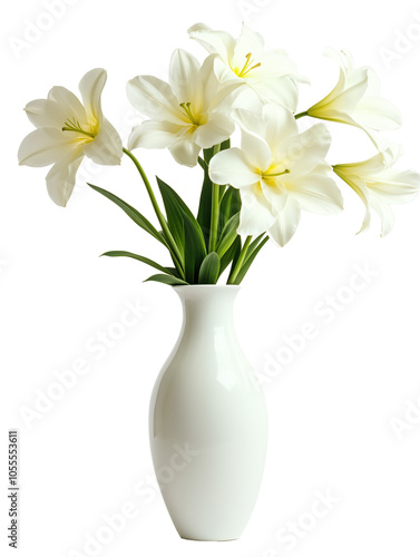 Various flowers in various vases for home decoration