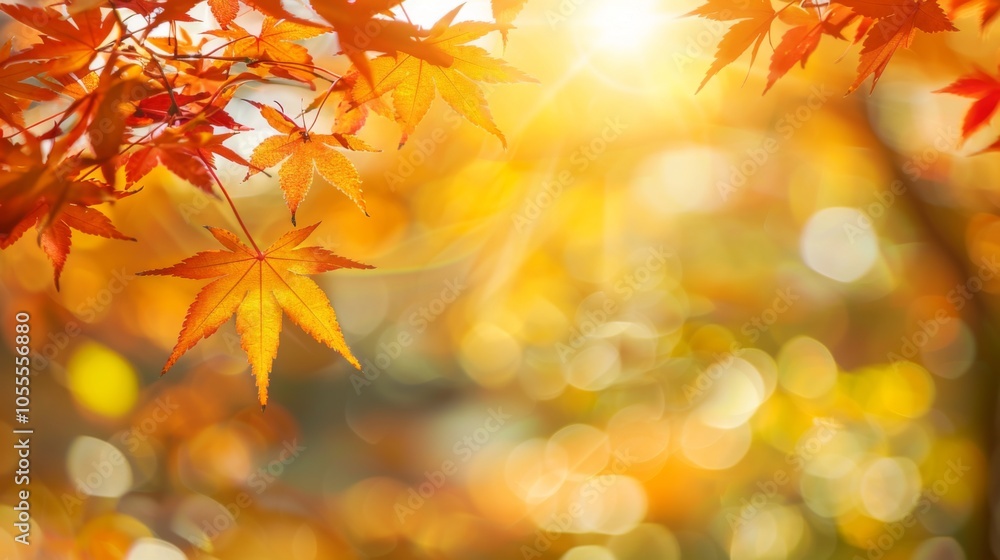 Naklejka premium Bright autumn leaves with sunlight filtering through, creating a warm, golden, and vibrant atmosphere, perfectly capturing the essence of fall's beauty and tranquility.