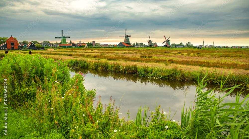 Zaanse Schans the famous landmark in Zaandam Netherlands with tranditional houses and old windmills