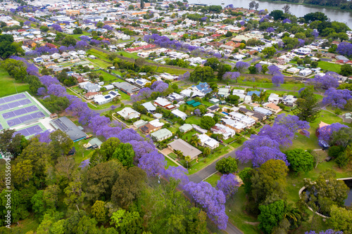 Aerial view over street lined with colourful jacaranda trees in full bloom. Grafton, NSW 