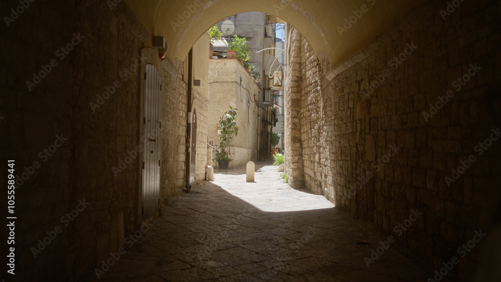 Fototapeta premium A narrow, sunlit alleyway with stone walls and arches in bari, italy, showcasing plants and residential buildings.