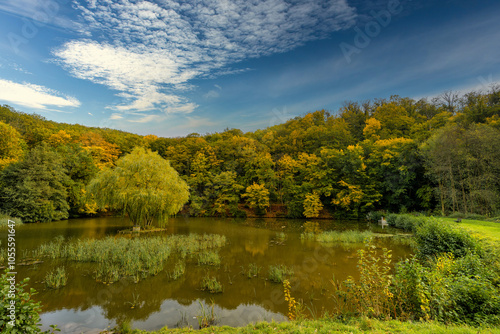 A view of the castle pond in the village of Grillenberg in Germany