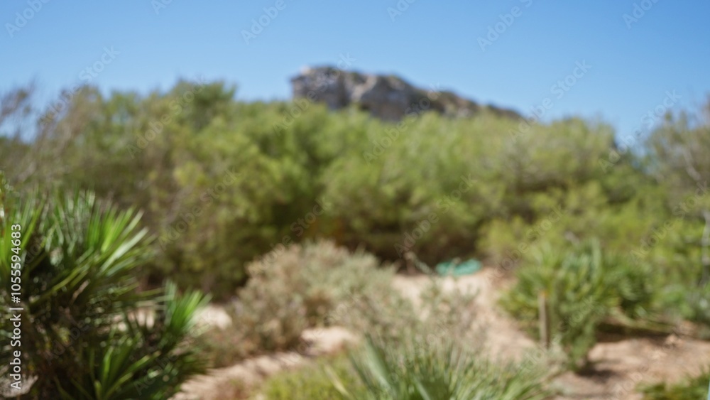 Blurred outdoor scene in mallorca with green shrubs, blurred mountain, and blue sky in defocused background Blurred outdoor scene in mallorca with green shrubs, blurred mountain, and blue sky in defocused background