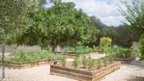 Blurred view of a tranquil garden with raised beds planted with various crops, surrounded by lush trees and a serene, clear sky.