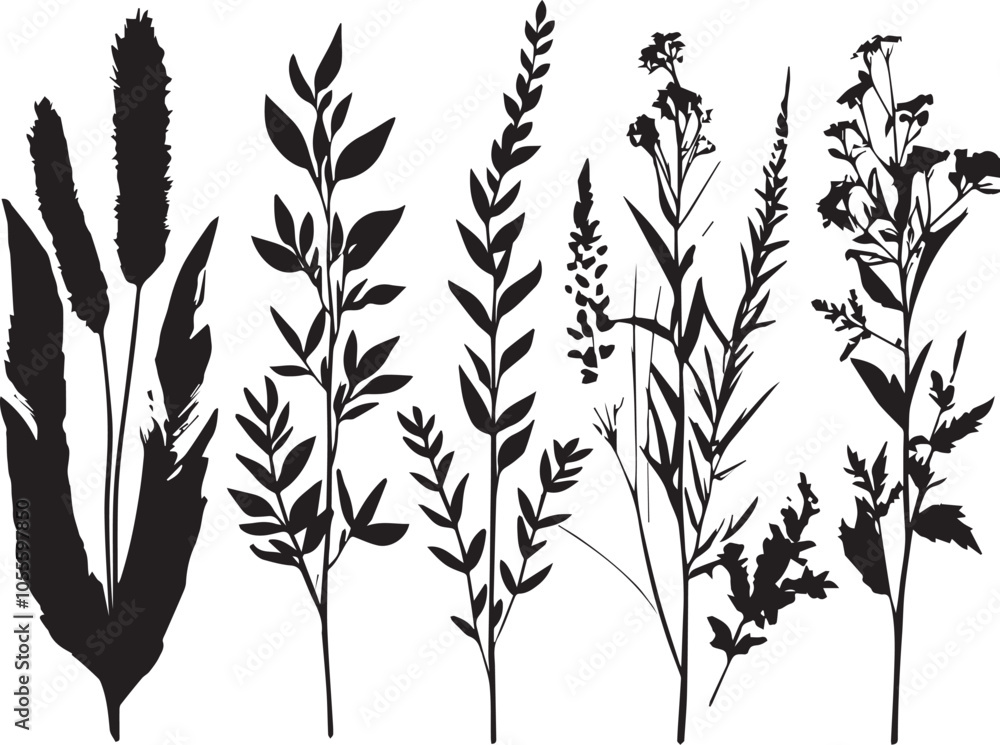Set plants. Hand drawn vector illustration Set plants. Hand drawn vector illustration