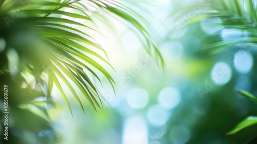 Blurred background featuring tropical palm leaves