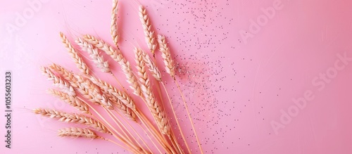 Pink glitter background with a bunch of wheat ears and a white mockup blank implying an agriculture concept in a minimalistic style with allotted copy space image