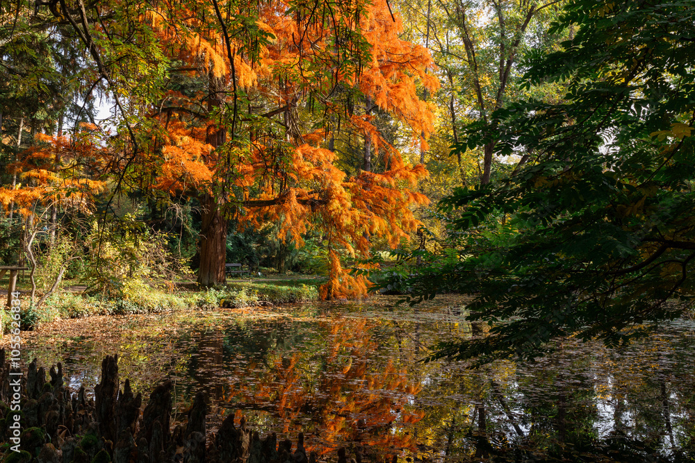 A photo of a pond with trees and water in the background A photo of a pond with trees and water in the background