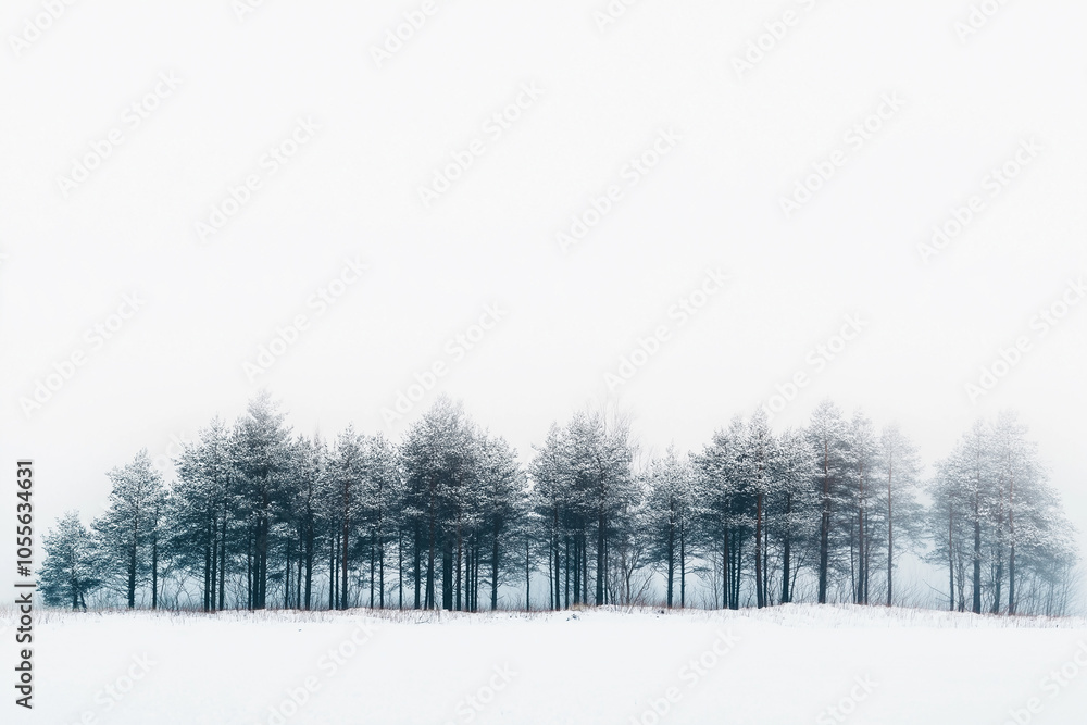 White sky, dense snow falling, dense pine forest in the distance, white background, foggy, heavy snowfall, minimalist, simple White sky, dense snow falling, dense pine forest in the distance, white background, foggy, heavy snowfall, minimalist, simple