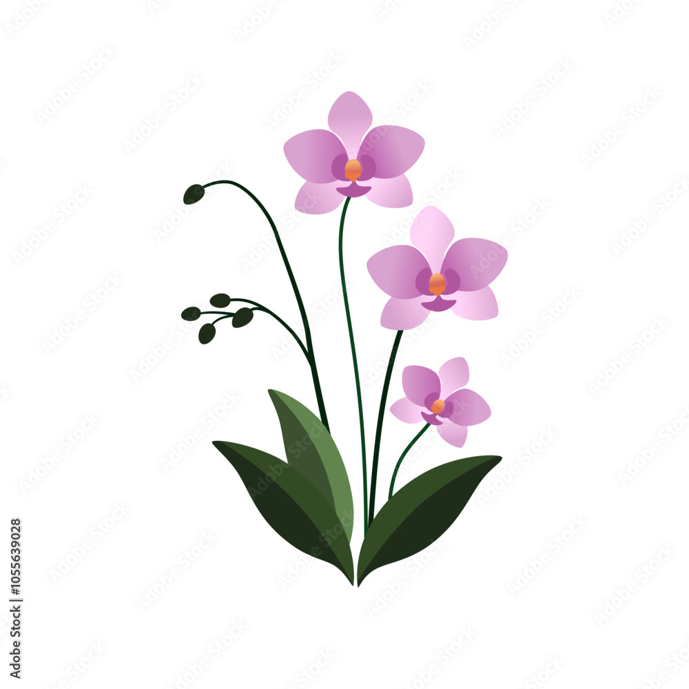 pink orchid isolated on white. Beautiful flowers decorative pink orchid isolated on white. Beautiful flowers decorative