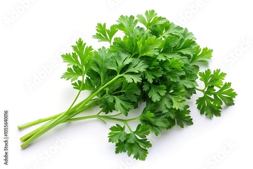 Fresh parsley leaves isolated on white background, with clipping path included