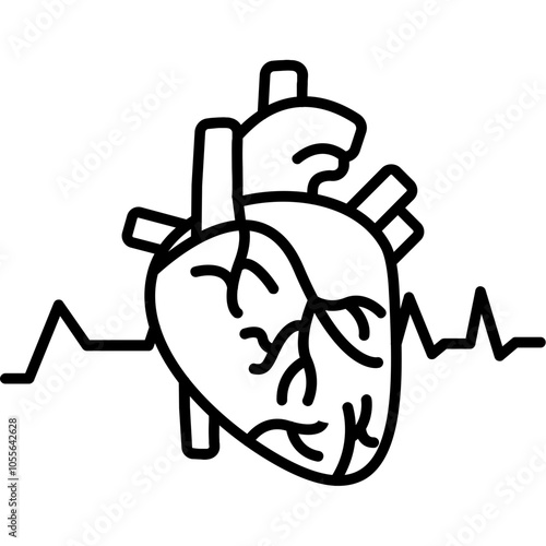 Heart Anatomy Icon