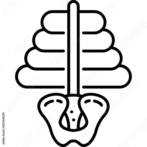 Ribcage Icon