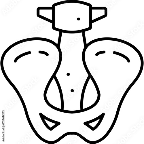 Pelvis Icon