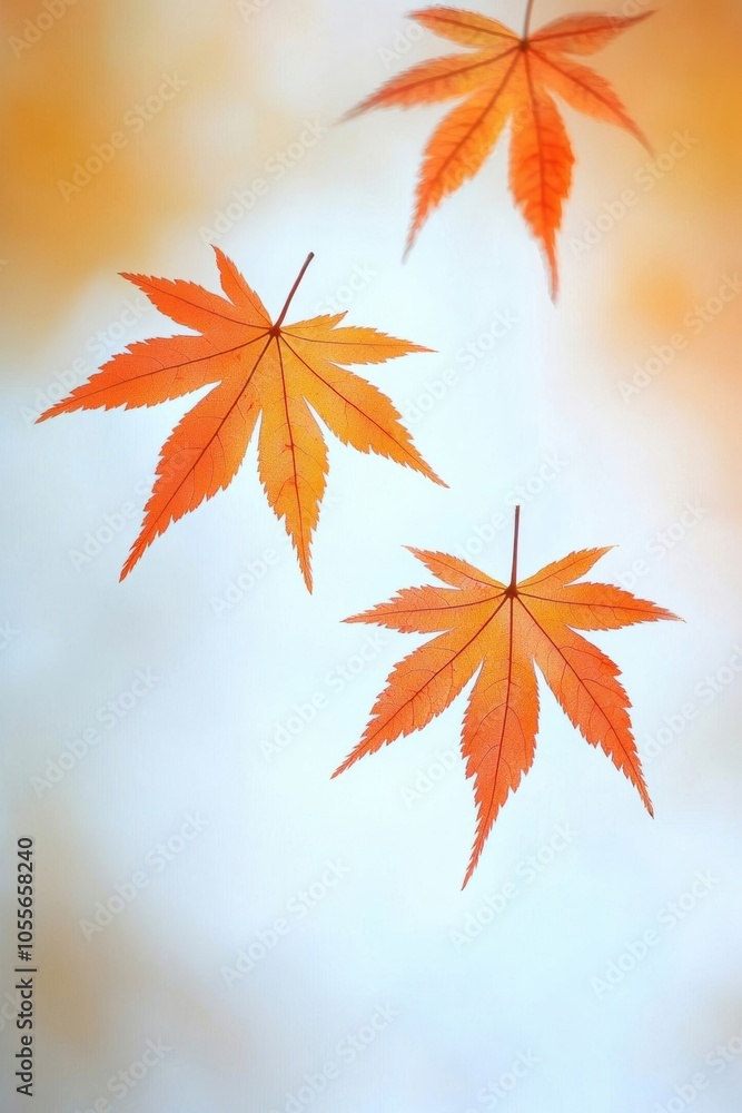 Vibrant orange maple leaves gently floating in the air, showcasing the beauty of autumn with a soft, blurred background. Vibrant orange maple leaves gently floating in the air, showcasing the beauty of autumn with a soft, blurred background.
