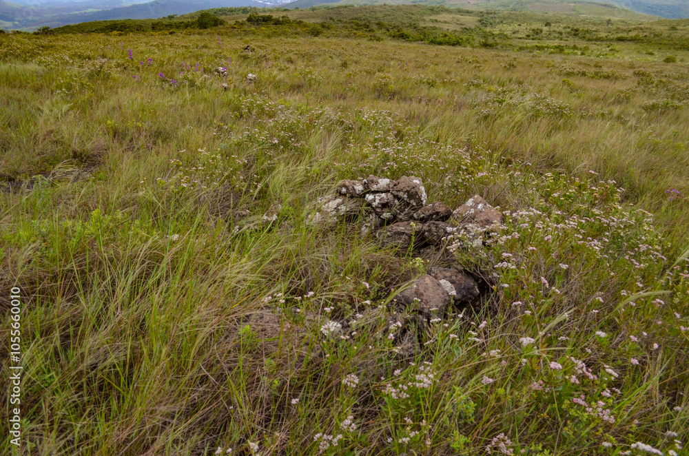 Ruins of an ancient indigenous cemetery built with stones protecting the tombs of an ancient tribe in the state of Minas Gerais, Brazil Ruins of an ancient indigenous cemetery built with stones protecting the tombs of an ancient tribe in the state of Minas Gerais, Brazil