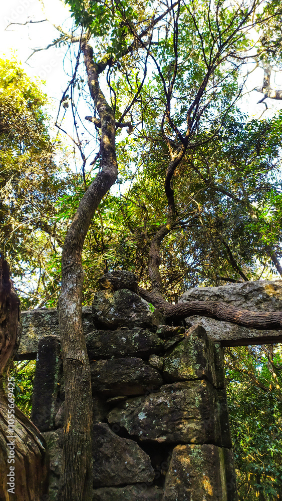 Fototapeta premium Ruins of an old fort from the gold mining era near Belo Horizonte, in the state of Minas Gerais, Brazil