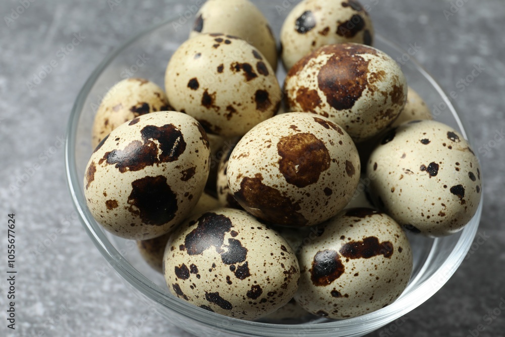 Quail eggs in a plate on gray background Quail eggs in a plate on gray background